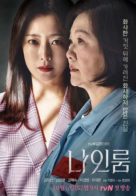 韩国电视剧观看,从热门剧集看韩国文化与社会变迁