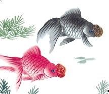 国画锦鲤图片大全,国色生香——国画锦鲤图片精选赏析