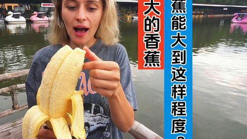 大香蕉国产视频,揭秘国内影视产业的魅力与挑战