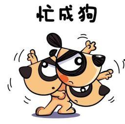 忙的图片,忙碌日常的瞬间捕捉
