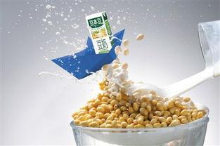 豆本豆图片大全,缤纷豆类世界，尽收眼底