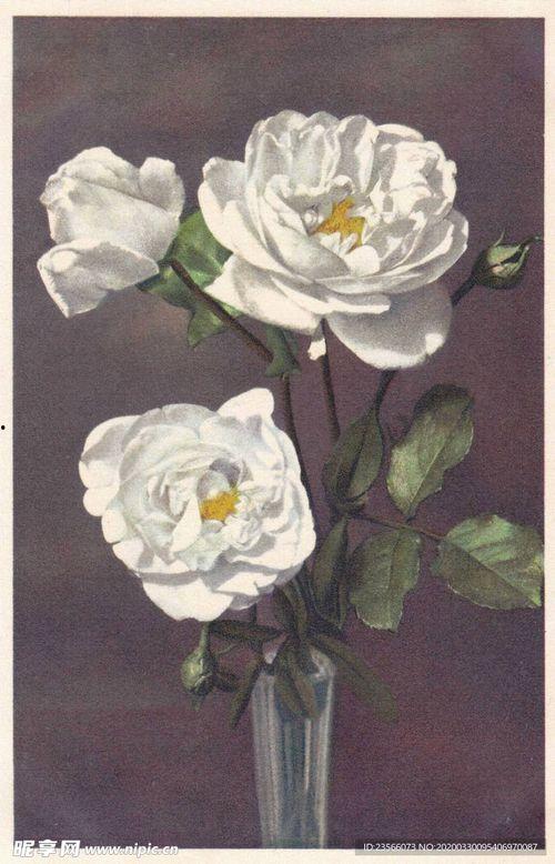 静物花卉油画图片大全,花卉油画艺术之美