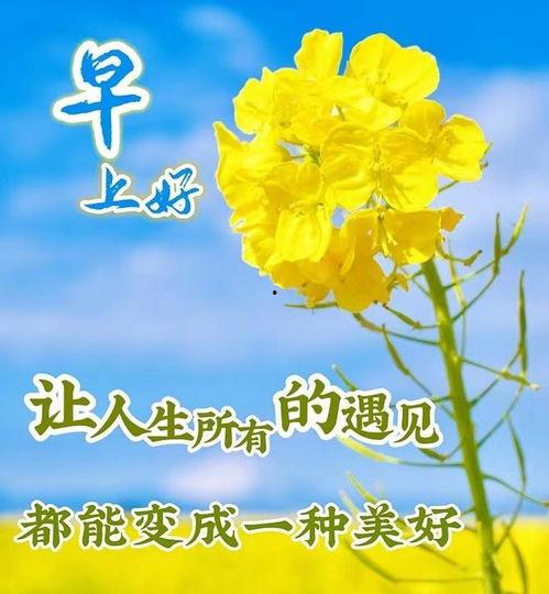 爱情早安问候语图片