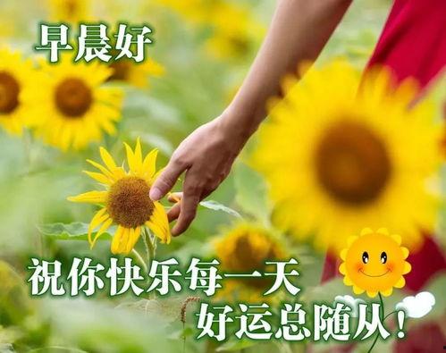 爱情早安问候语图片