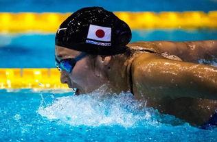 日本自由泳,速度与激情的竞技之旅