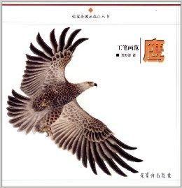 工笔画鹰图片大全,工笔画鹰图片精选赏析