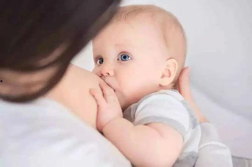 母乳图片,生命的甘泉，宝宝成长的守护者