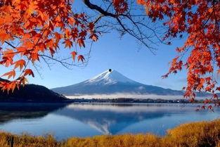 日本秋游,日本秋游的五彩斑斓之旅