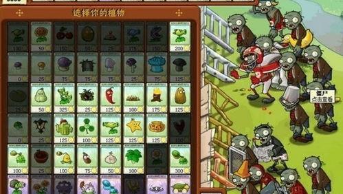僵国语播放,跨越时空的对话，探寻语言背后的文化密码