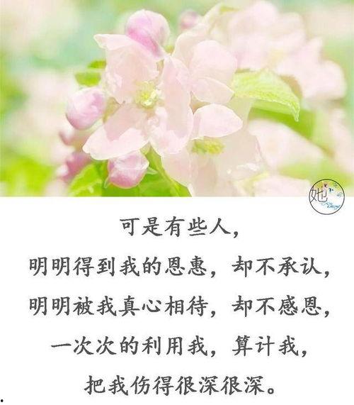 把我当傻子的经典图片,揭秘“把我当傻子”经典图片背后的故事