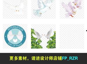 鸽子卡通图片大全,盘点经典鸽子卡通图片大全