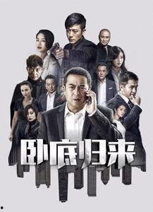 卧底回归在线观看,揭秘卧底身份，重燃正义之战