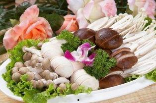 鲜姜图片大全,鲜姜图片大全带你领略姜的多样魅力