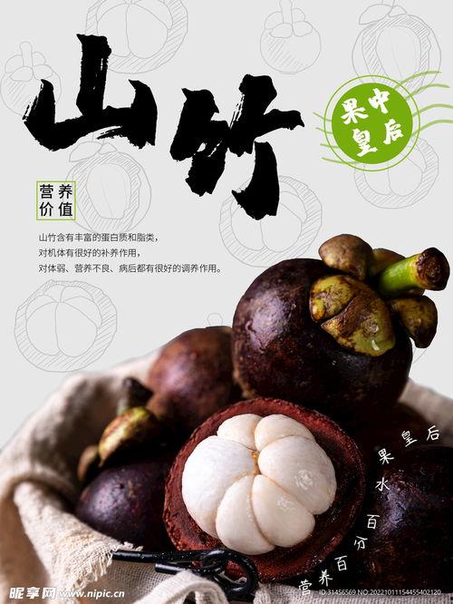 野山竹图片,大自然的绿色瑰宝