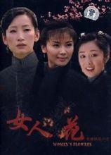 女人花电视剧国语,绽放时代女性的传奇人生