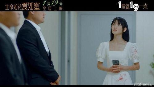 如蜜在线观看,甜蜜爱情与复仇交织的悬疑故事