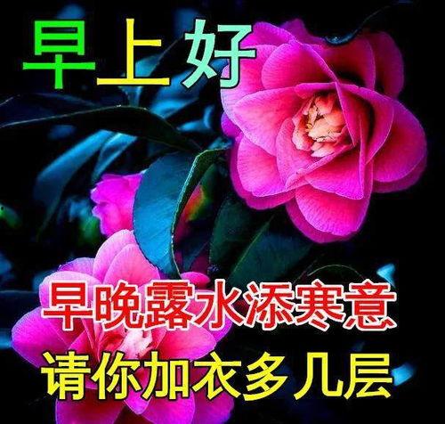 好图片大全,视觉盛宴，捕捉生活之美