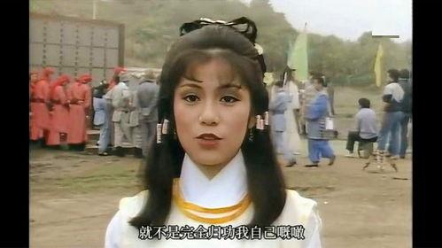 翁美玲视频,永恒的青春女神，经典影视作品回顾