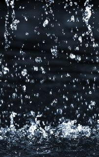 雨点的图片大全,捕捉自然界的诗意瞬间
