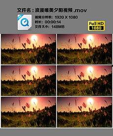 浪漫夕阳视频,一场视觉盛宴的回忆