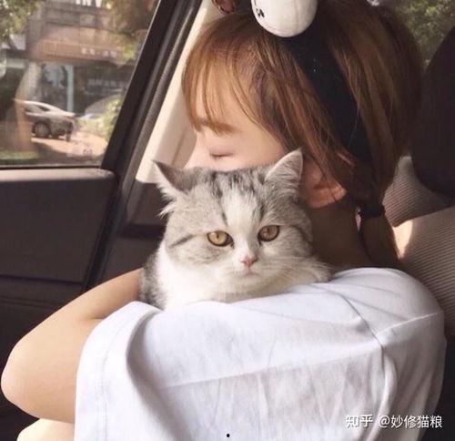 头像图片大全可爱,精选可爱头像大盘点