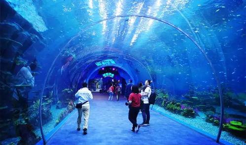 海洋公园图片,探索海洋公园的绚丽画卷