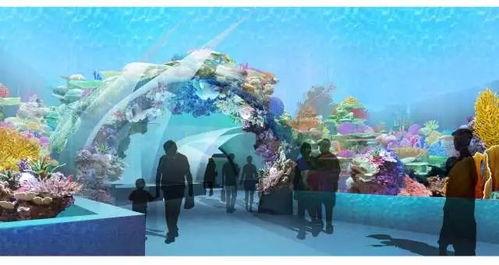 海洋公园图片,探索海洋公园的绚丽画卷