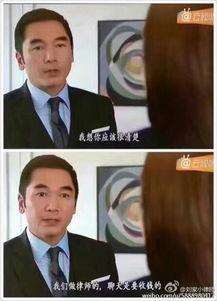 律师强人国语8,巅峰对决，正义之战