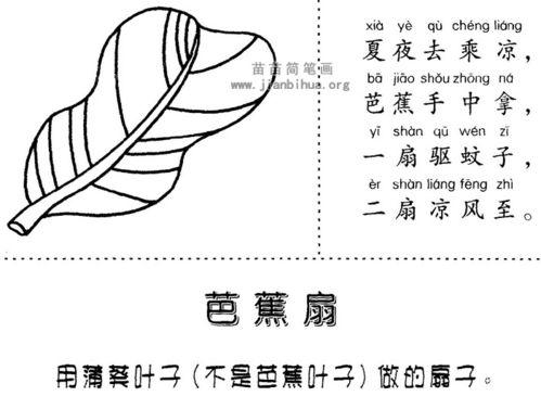 芭蕉扇图片,夏日清凉的传说与艺术