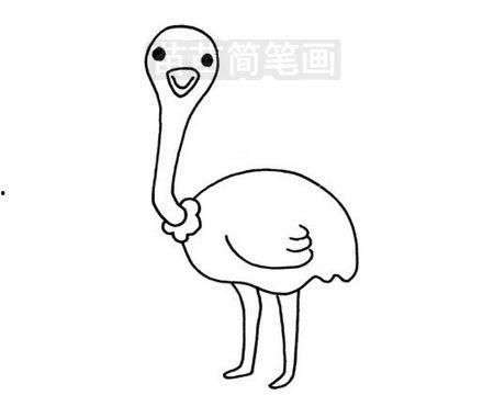 鸵鸟图片大全大图,大图全景下的自然王者