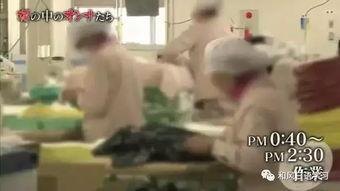 日本 女子监狱,揭秘隐秘的矫正与改造世界