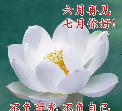 六月再见七月你好图片,七月微笑迎——时光流转的温馨瞬间