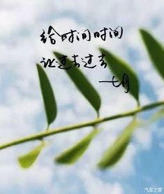 六月再见七月你好图片,七月微笑迎——时光流转的温馨瞬间