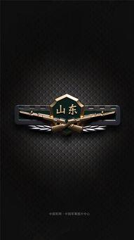 武警盾牌图片大全,图片大全中的英勇守护者