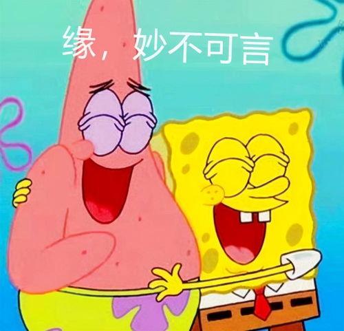 海绵宝宝头像图片,海洋奇遇记的卡通魅力