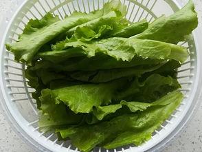 韩国艺人生菜,融合传统与现代的美食之旅