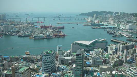美国看韩国,跨越太平洋的紧密纽带与未来展望