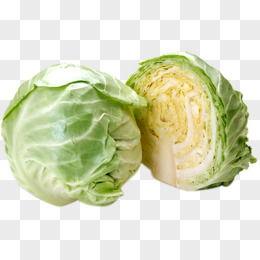 包菜的图片,营养丰富的绿色佳肴