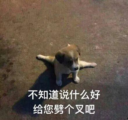 痛苦表情包图片大全,盘点那些让人心疼的痛苦表情包