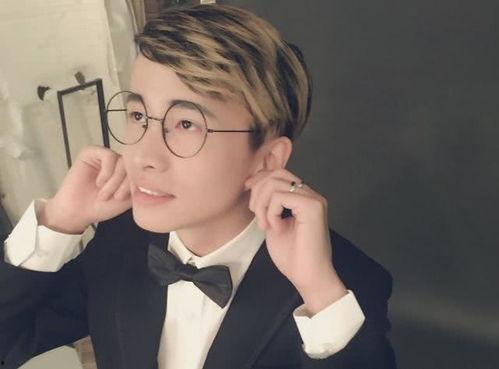 文森特视频,揭秘生活点滴中的艺术魅力