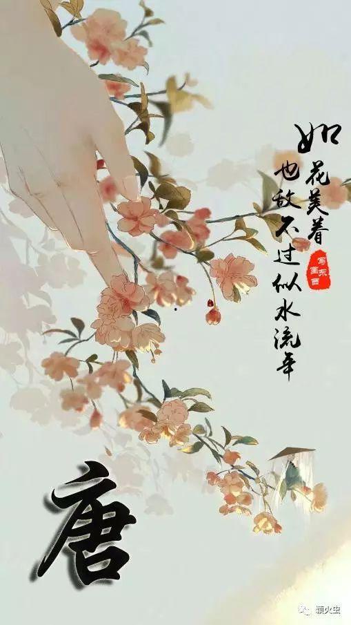 似水流年图片大全,似水流年图片集锦回顾