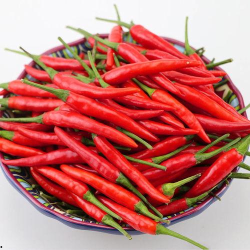 泰椒图片大全,色彩斑斓的辣味精灵
