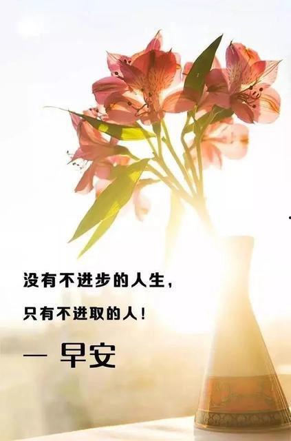 正能量励志视频,正能量励志视频深度解析