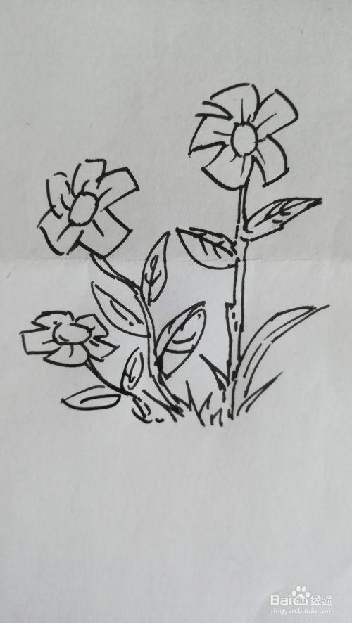 花丛简笔画图片大全,描绘自然之美的一笔勾勒