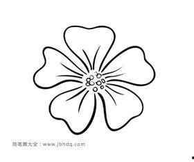 花瓣创意画图片大全,自然之美与艺术想象交织的视觉盛宴