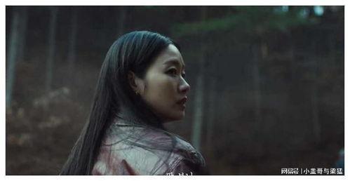 韩国 巫师,神秘传承与古老智慧
