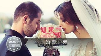 哈佛恋人国语,跨越时空的爱情传奇