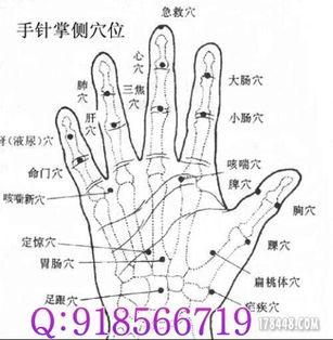 小拇指图片,小拇指的独特魅力