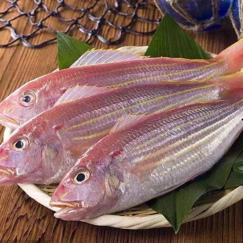 红鱼图片大全,色彩斑斓的海洋精灵图鉴