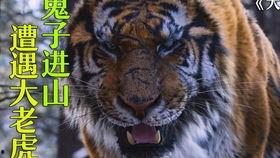 虎虎虎电影在线观看,在线观看，热血沸腾的冒险之旅